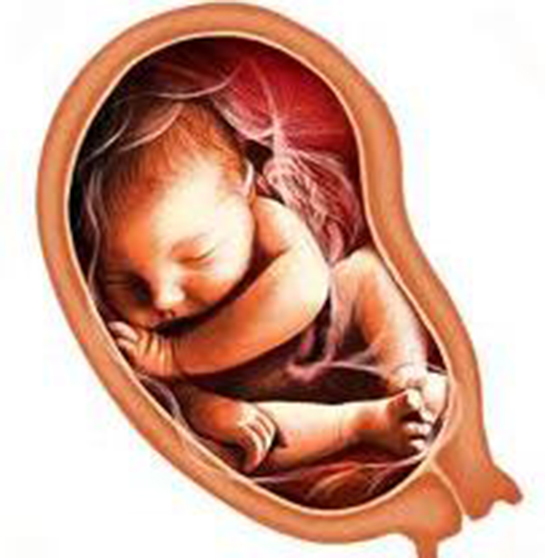 Makat Doğum Belirtileri ve Tedavisi